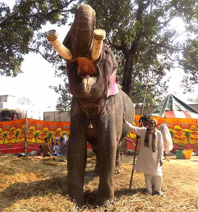 JD-U MLA Shyam Bahadur Singh's Gulabi's salute.