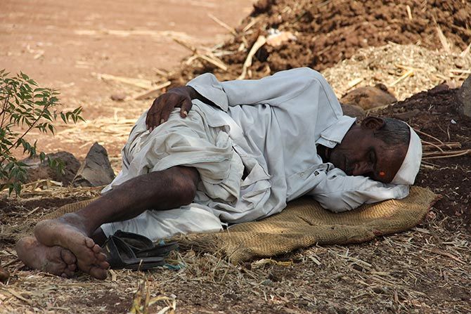 IMAGE: It's 42 degrees celsius and this farmer decides to take a quick nap in the afternoon.