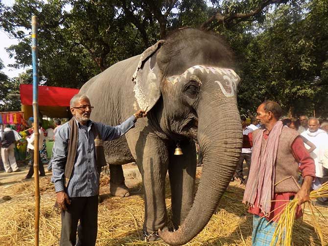 Sanju Singh poses for a picture with his elephant, Gulabi.