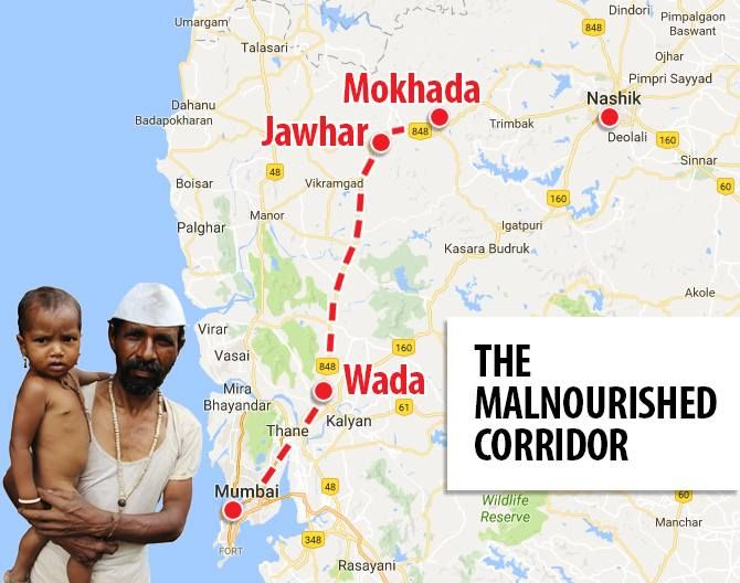 The four talukas of Wada, Mokhada, Jawhar and Vikramgadh are the worst affected tehsils in Palghar. Social activists have begun calling these 'Malnourished corridor' after the district reported 254 malnutrition deaths so far this year.