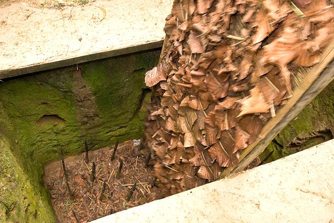 Cu Chi tunnels