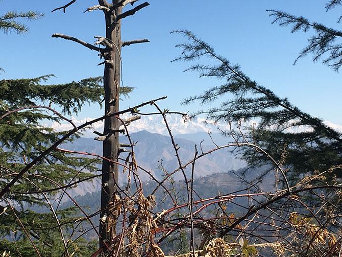 The peaks of the Himalayas as seen from the home