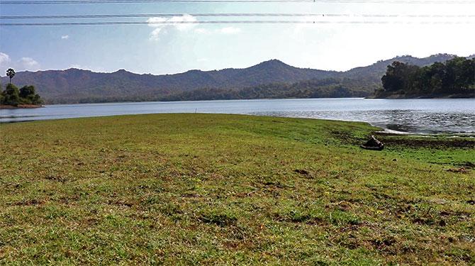 Glasslands being cultivated around Tulsi lake