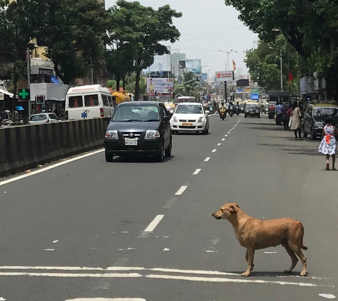 The main road in Mahim