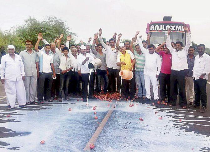 Farmers spill milk on the road during protests in Nashik, Maharashtra, June 2017. Photograph: PTI Photo