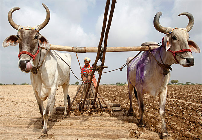 A farmer tilling the soil