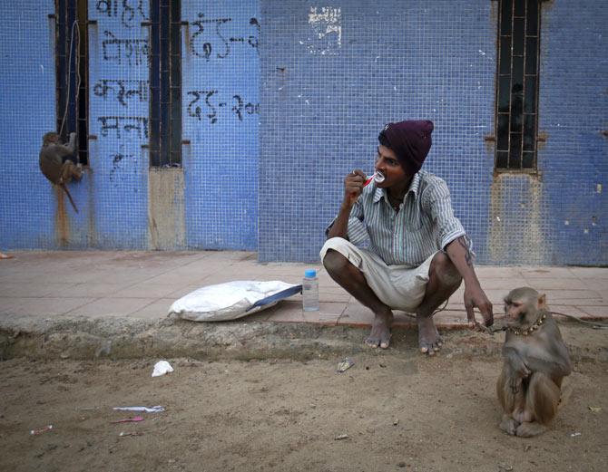 A man and his monkey go through morning ablutions near a beach in Mumbai, November 5, 2012. Photo: Danish Siddiqui/Reuter