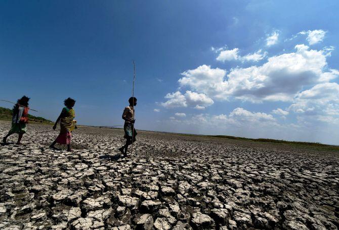 Chennai witnessing one of the worst droughts in 70 yrs