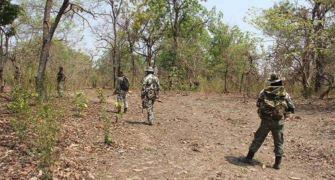 Jawans of the CRPF's 74th battalion enter a forested patch on an area domination exercise.