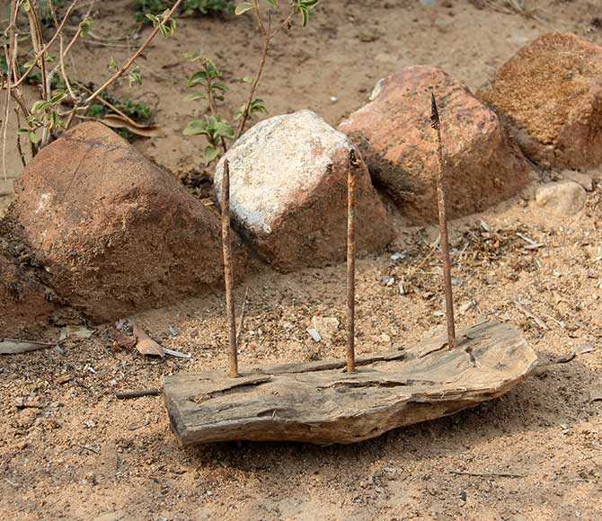 A lethal contraption devised by the Maoists: A three-nailed spike