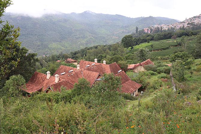 Mansoor Khan's Acres Wild Homestay