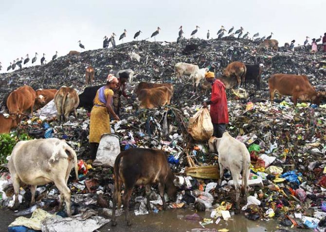 Scavengers collect recyclable materials at a garbage dump site on the occasion of Earth Day, in Guwahati, India, April 22, 2017. Photo: Anuwar Hazarika/Reuters