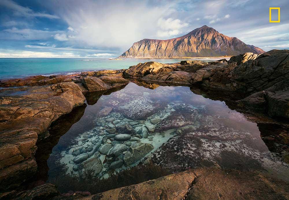 National Geographic unveils contenders for best nature photographs of