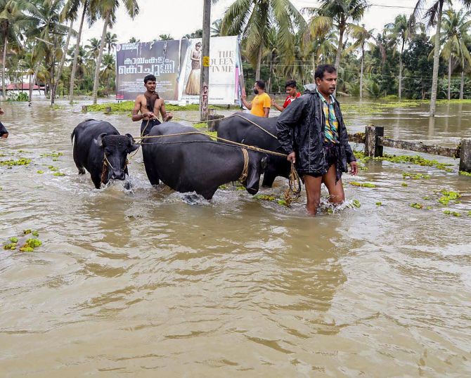 Floods in Kerala due to slaughtering of cows in open: BJP leader -   India News