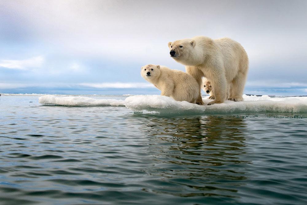 The Travel Photographer of The Year Awards