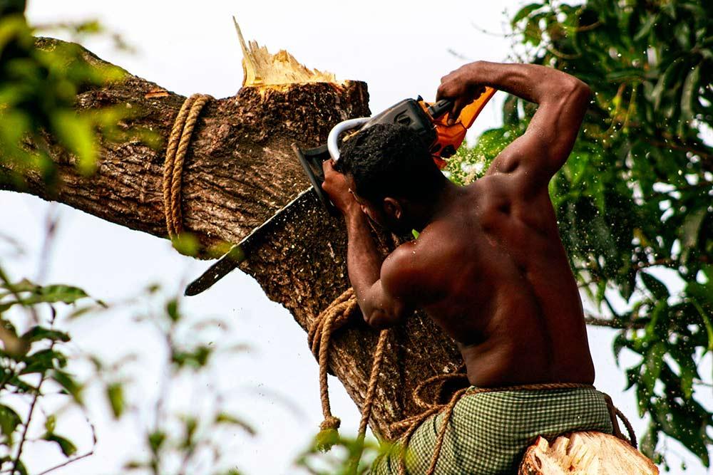 The Travel Photographer of The Year Awards