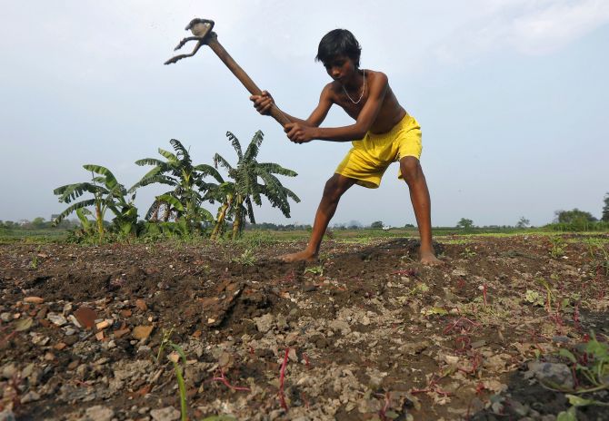 Union Ministers to Meet Farmer Leaders on Wed