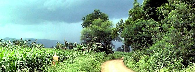 Skyline of Chinawal village, Chinawal-Savkheda road, Chinawal, Maharashtra, India. Photograph: Rsika/Wikimedia Commons