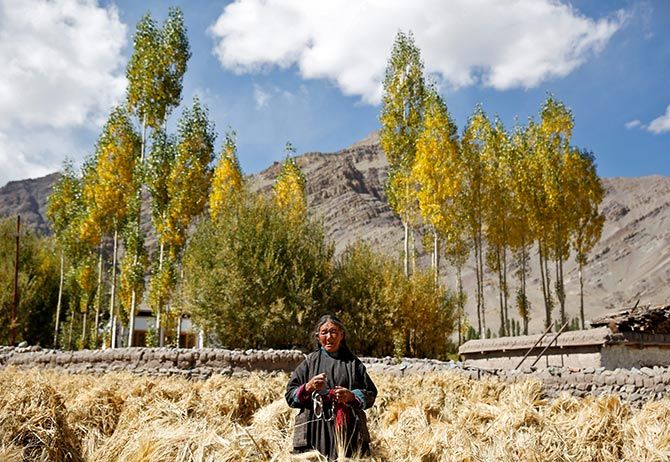 Tashi Phutit, 81, a wheat farmer and housewife poses for a photograph in the village of Stok, 15 km from Leh