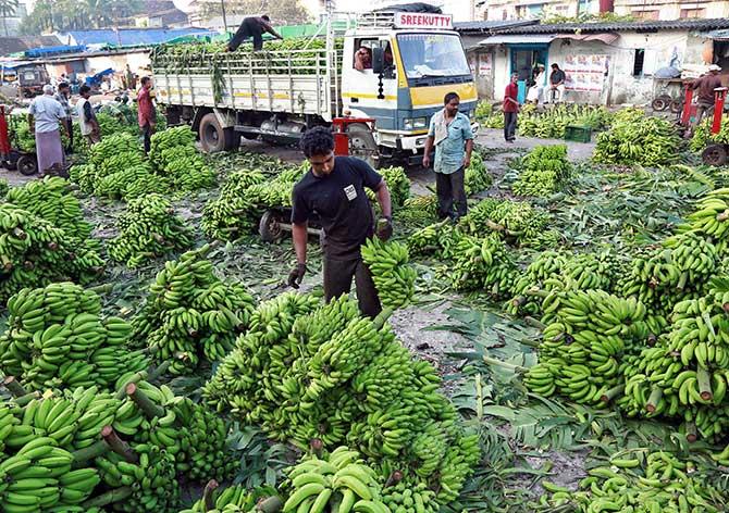 A worker carries bananas to stack them after weighing them at a wholesale market in Kochi, India, November 13, 2017. Photograph: Sivaram V/Reuters