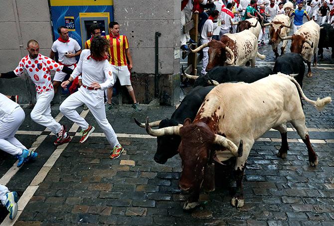 How dangerous is it to run with the bulls? - Rediff.com India News