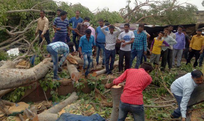 People remove the logs of uprooted trees after strong winds and a dust storm in Alwar, Rajasthan. Photograph: Reuters