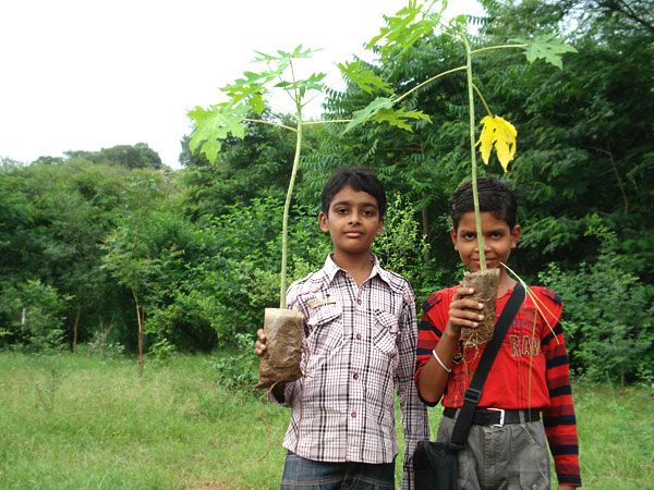 Local children planting saplings