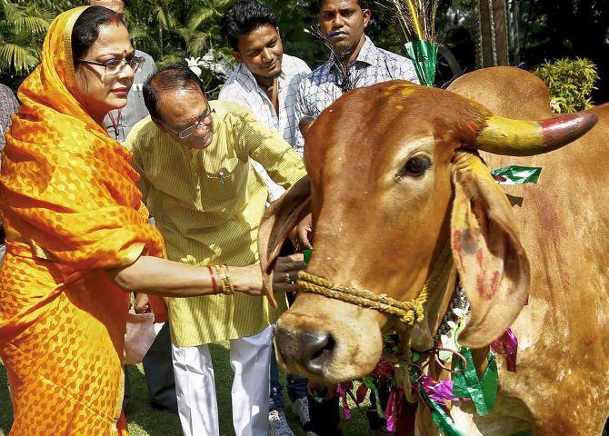 Madhya Pradesh Chief Minister Shivraj Singh Chouhan and wife Sadhna Singh