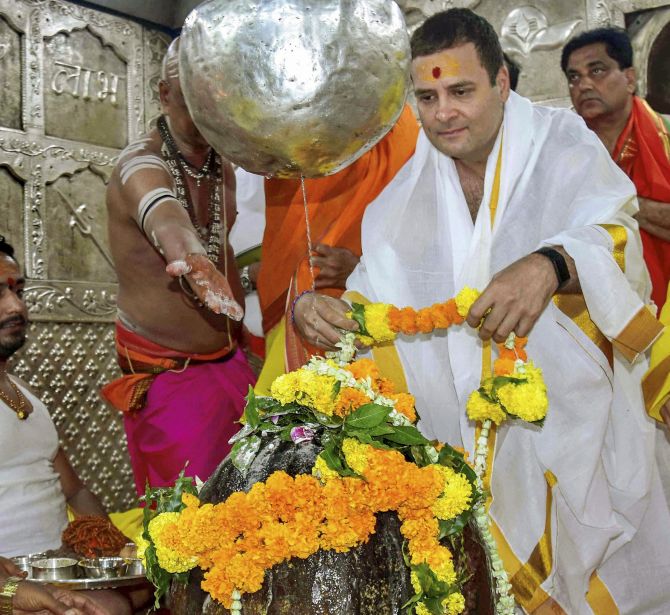 Congress President Rahul Gandhi at the Mahakaleshwar temple during his tour of the Malwa-Nimar region in Ujjain, Madhya Pradesh. Photograph: PTI Photo