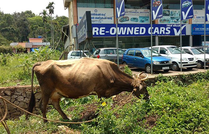 A showroom for pre-owned cars in Wayanad. Photograph: Nikhil Lakshman/Rediff.com