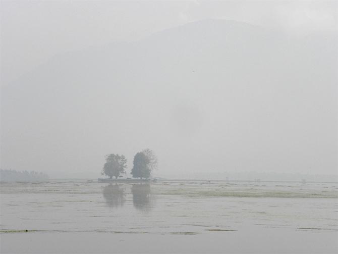 Photograph: Vaihayasi Pande Daniel/Rediff.com.