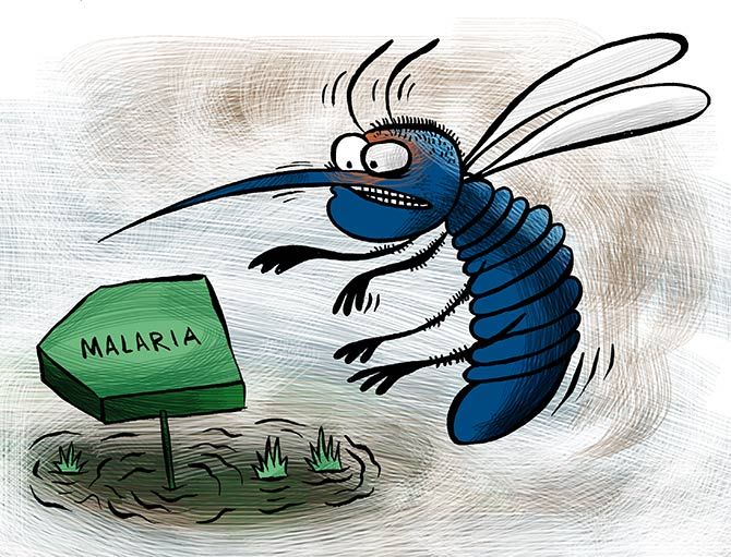 How to fight malaria