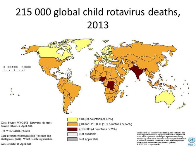 Global rotavirus deaths as per WHO's 2013 statistics. Image: Kind courtesy: WHO