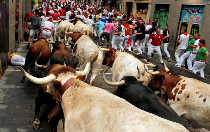 Running with the bulls: Defying death! - Rediff.com India News