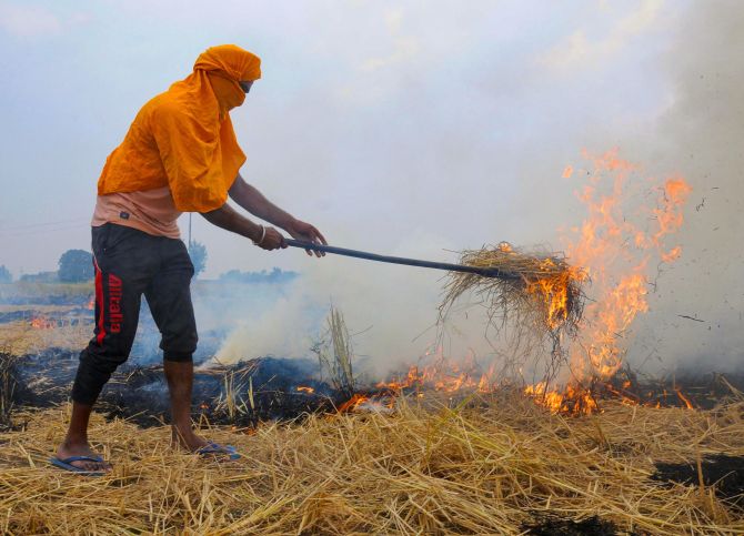 Why stubble burning will continue to choke NCR