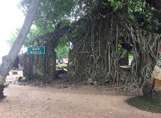 The former bakery at Ross Island, Andaman islands. Photograph: Vaihayasi Pande Daniel/Rediff.com.