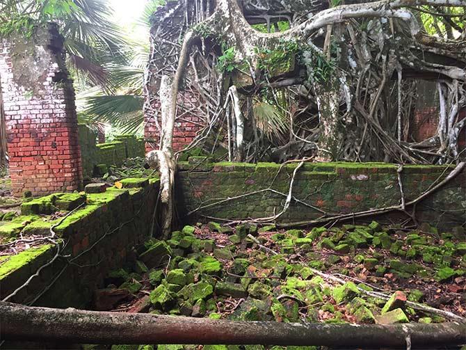 Ross Island, Andaman islands. Photograph: Vaihayasi Pande Daniel/Rediff.com.