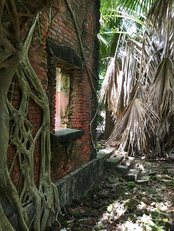 Ross Island, Andaman islands. Photograph: Vaihayasi Pande Daniel/Rediff.com.