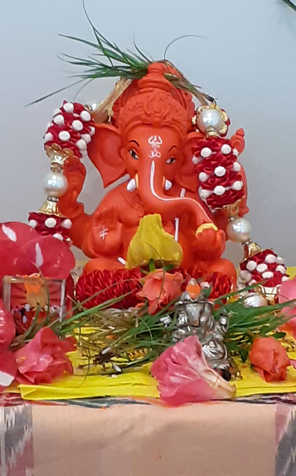 Ganesha pix from readers