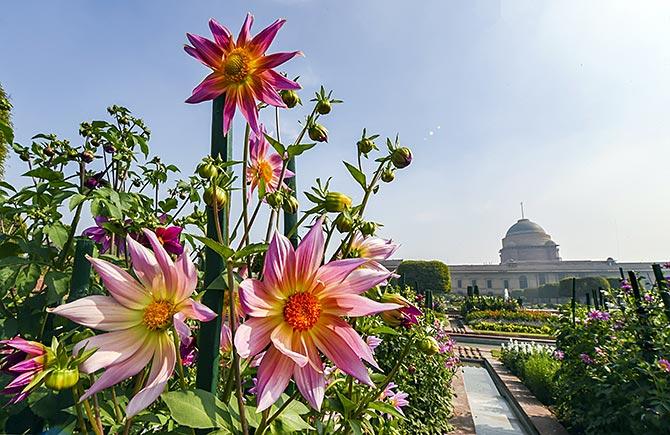 rashtrapati bhavan garden visit