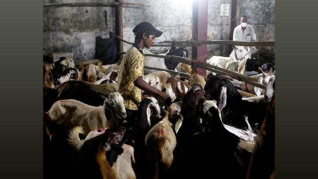File image/Reuters