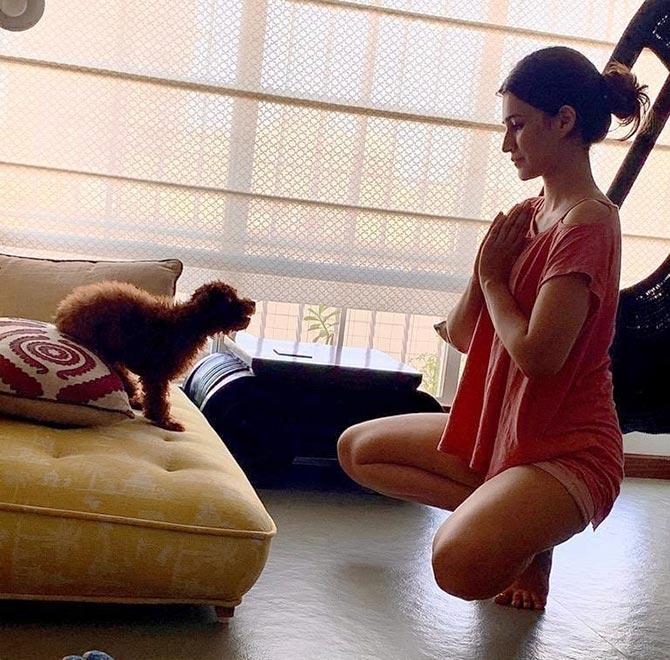 Celebs work out with pets