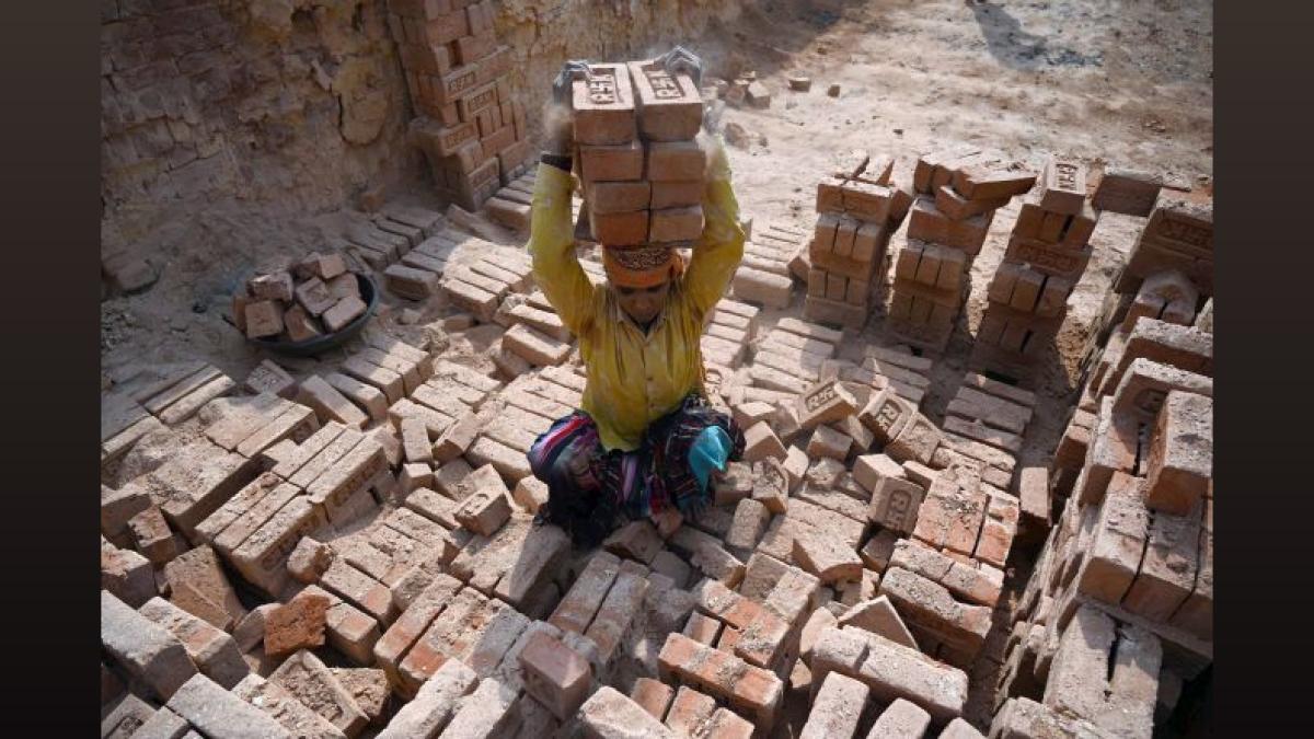 India & ILO Partner on Occupation Classification