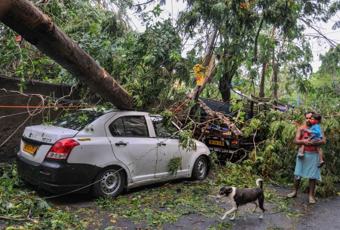 A passerby looks at car damaged by an uprooted tree in Kolkata, on Thursday, May 21