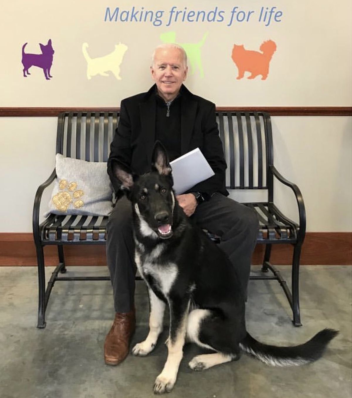 Biden S Dogs Moved Out Of White House