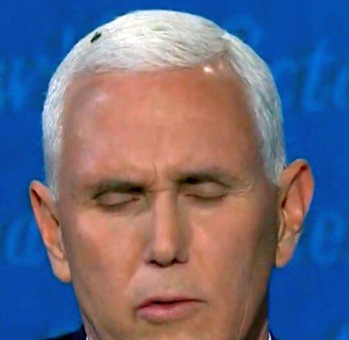 Fly Lands On Pence's Head During VP Debate