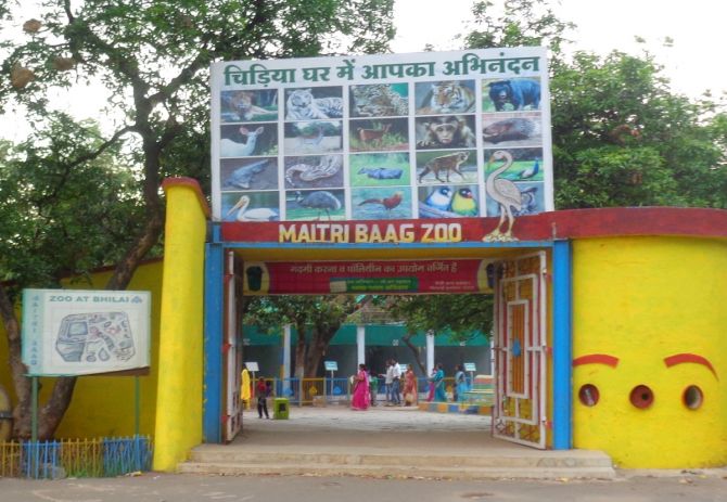 Maitri bagh zoo 