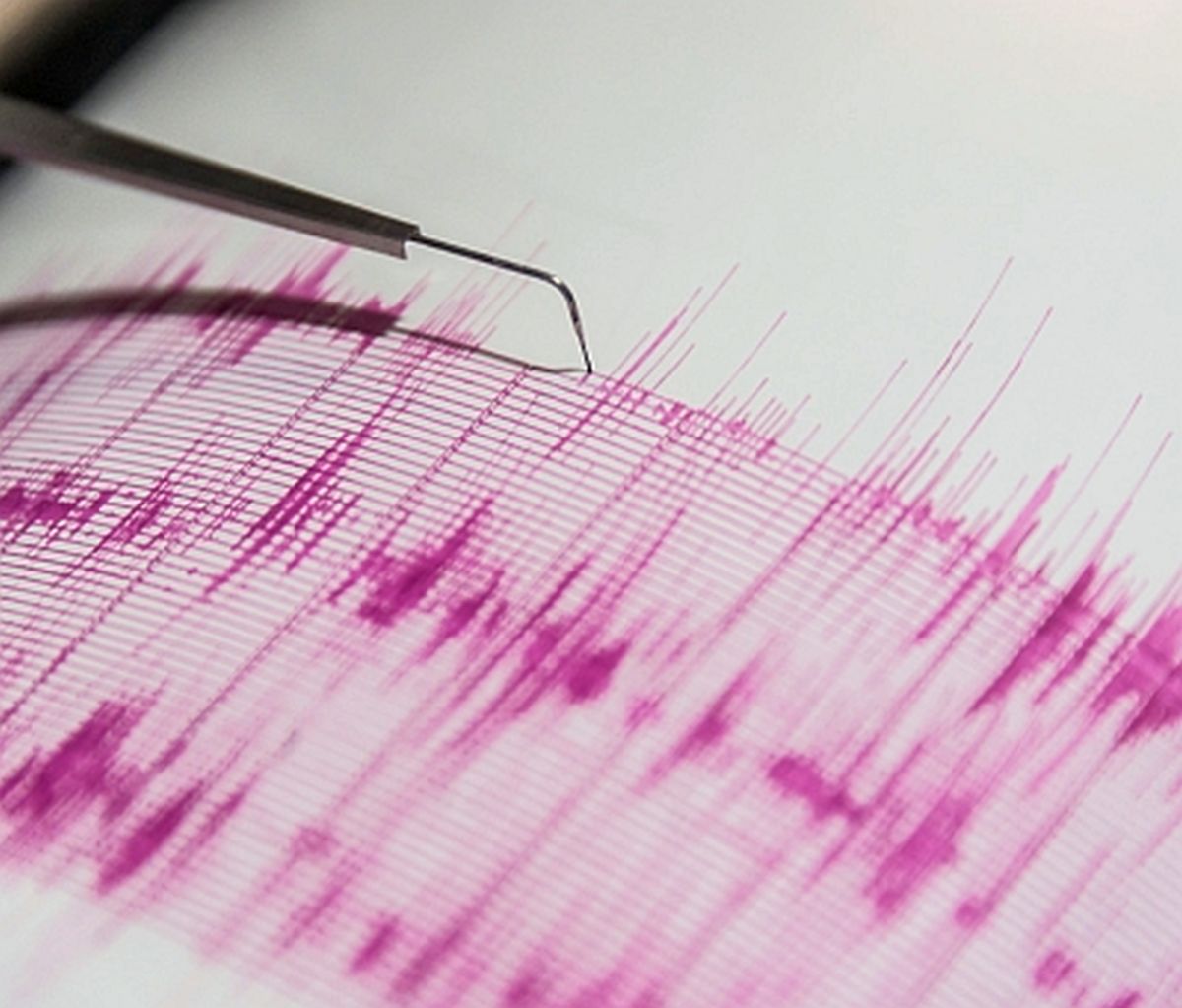 5.4-magnitude quake hits J-K; tremors in north India