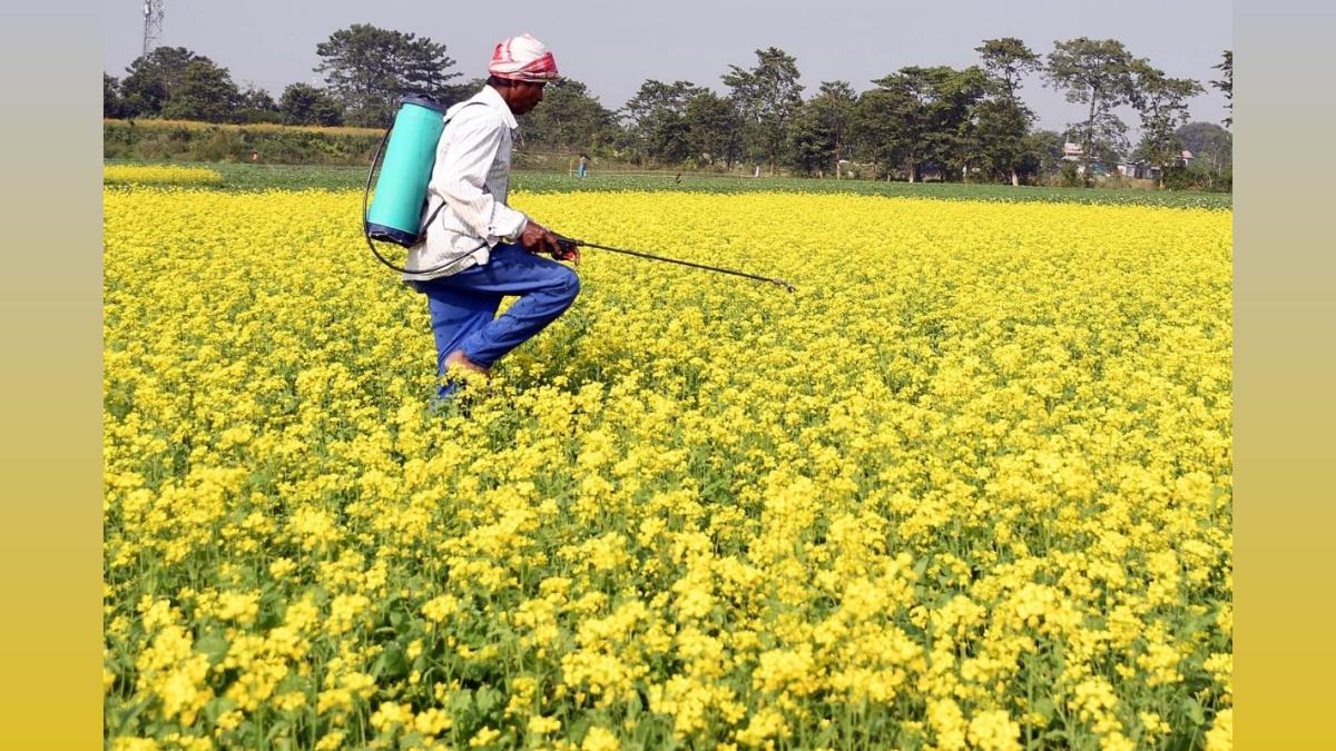 Best Agrolife to launch new insecticide for resistant pests in July 