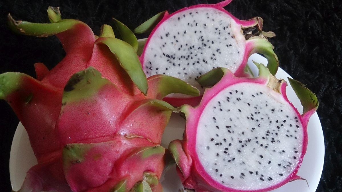 gujarat-govt-renames-dragon-fruit-as-kamalam-rediff-india-news